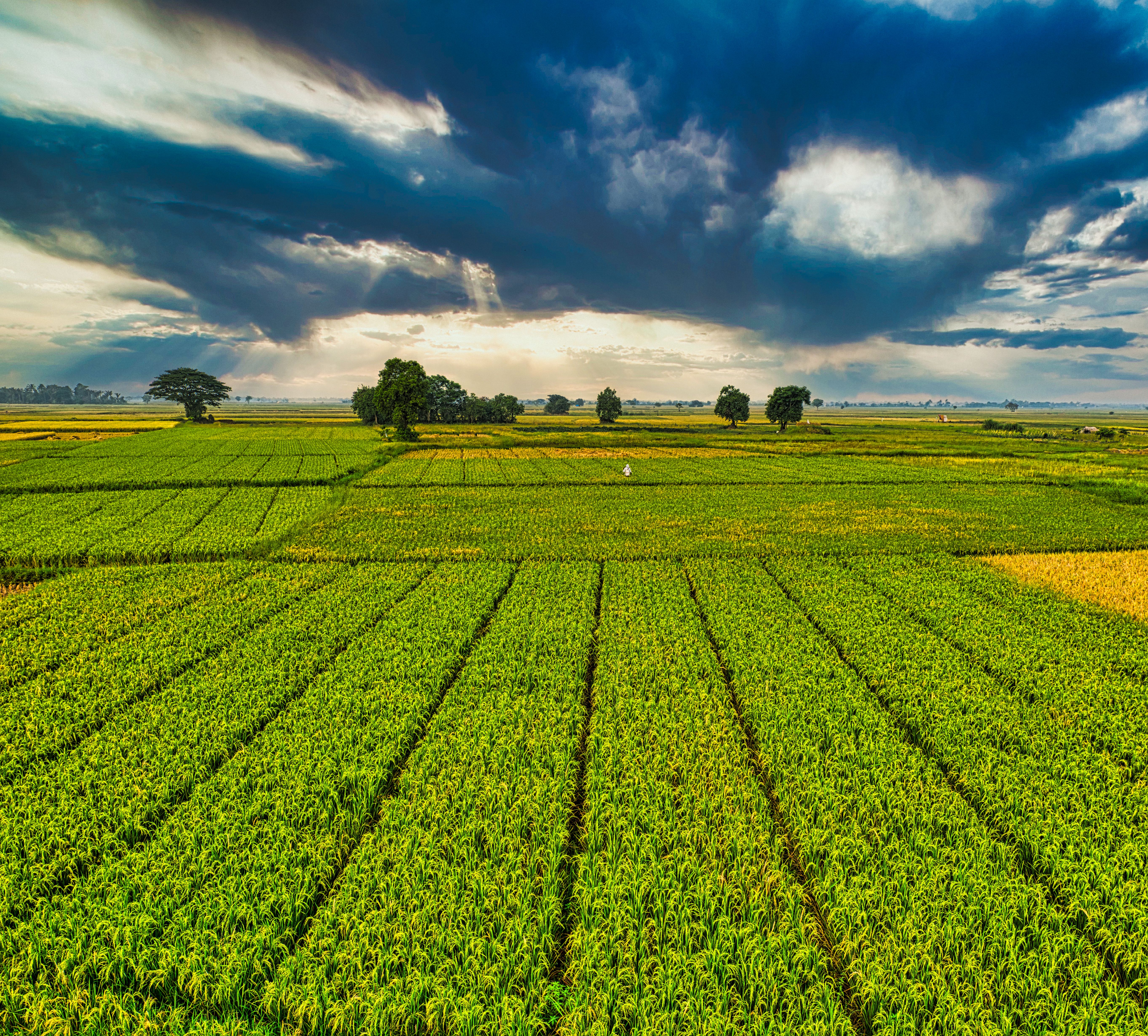 Farmers & entrepreneurs